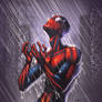 Spidy by Marcus To