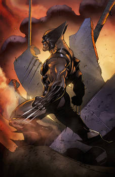Wolverine by Ryan Benjamin