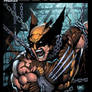 Wolverine trading card