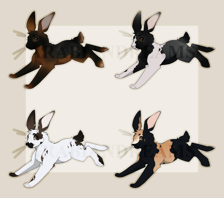Rabbit Adoptables -01- || CLOSED by ArabianDreams on DeviantArt