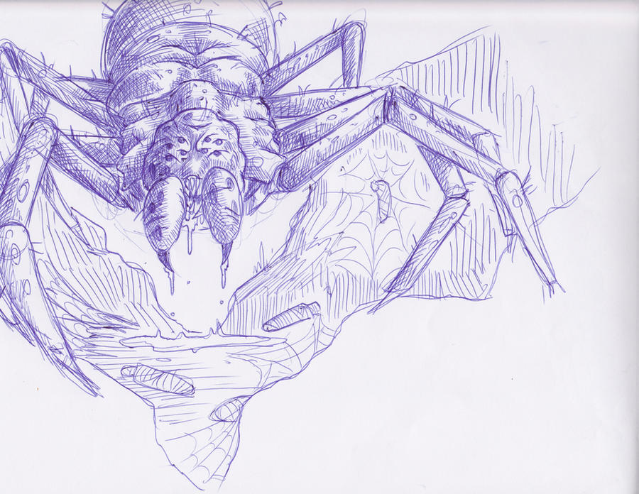 Deviantart Spider Spider!!! by blizzard-wizard on DeviantArt