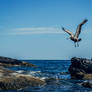 Takeoff