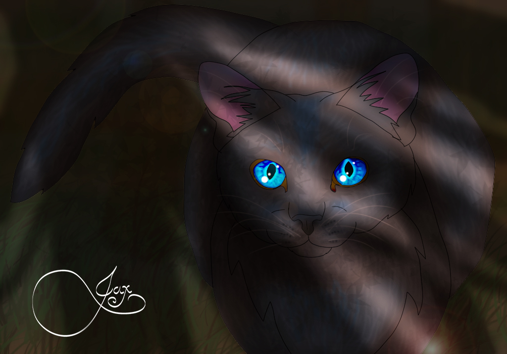 Cinderpelt in the Woods