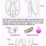 Bub-Chi species guide - Basic info