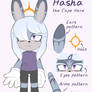 Hasha (Hashana) - reference