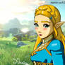 Princess Zelda: Breath of the Wild