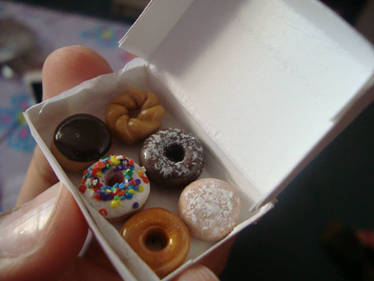 Miniature Doughnuts in a Box