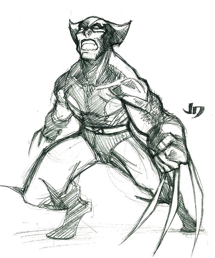 DSC - Wolverine