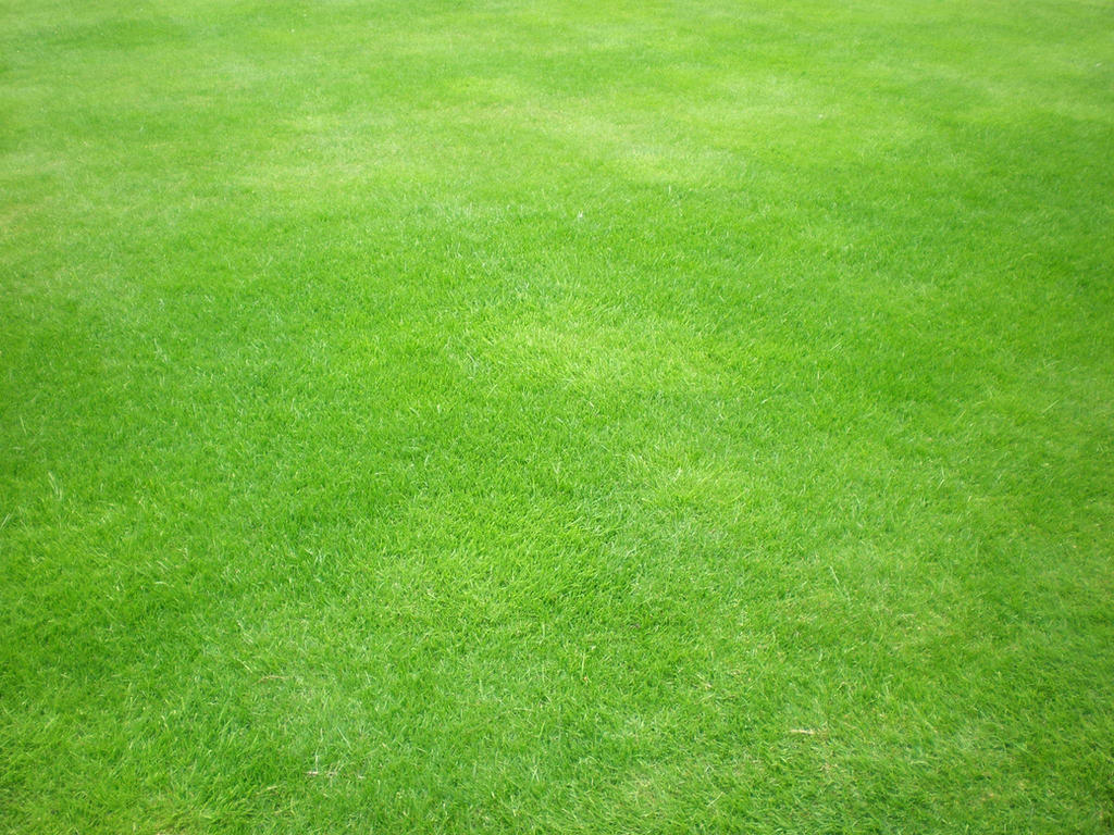 Green grass