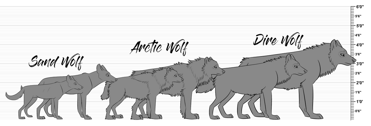 Dire Wolf Size Chart