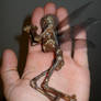 Mummified Fairy