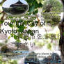 Kyoto Brochure