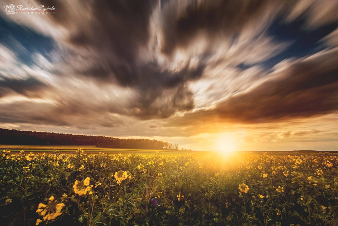 Spring Sunset Drawings Spring sunset by Dybcio on DeviantArt