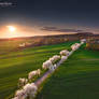 Spring from air
