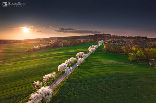 Spring from air