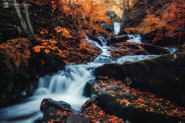 Autumn River by Dybcio