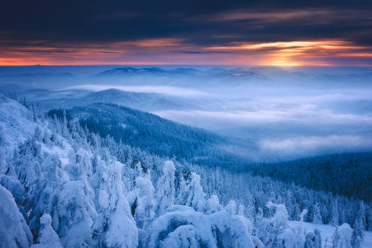 Winter Panorama II