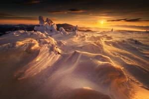 Winter sunrise VII