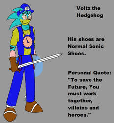 Voltz The Hedgehog