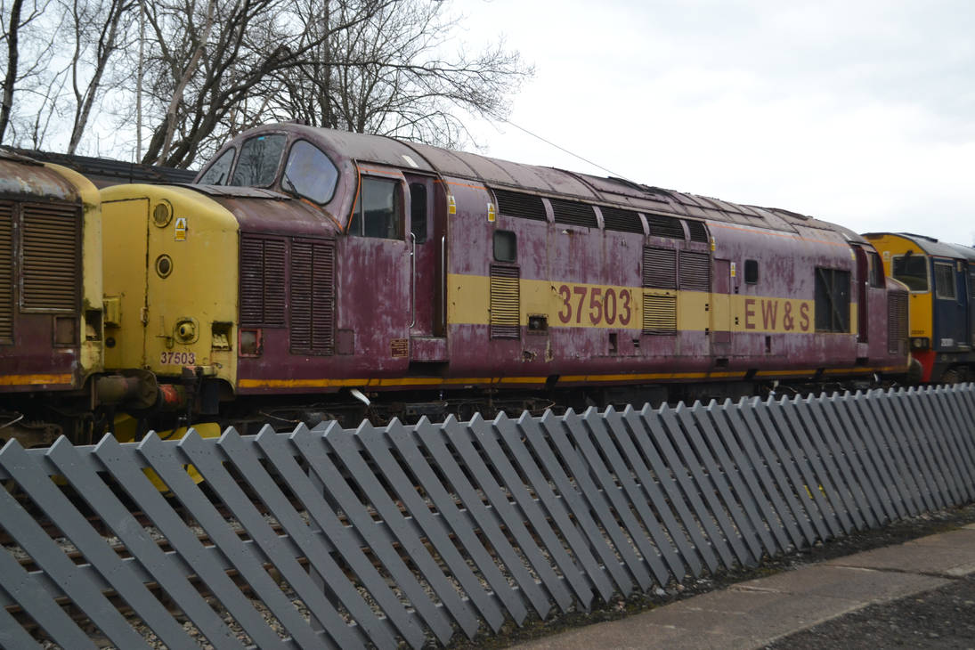 37503 by DingRawD on DeviantArt