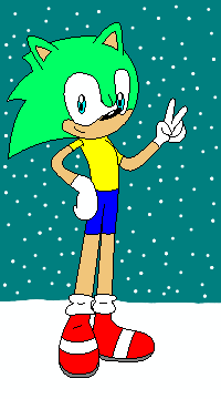 Spark the Hedgehog Snow Secret Santa