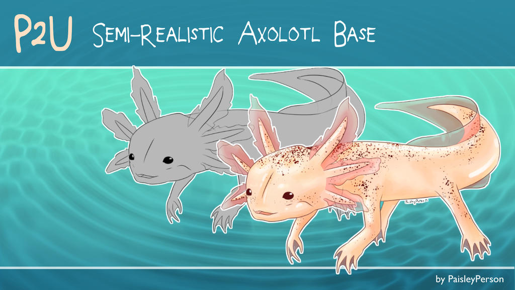 P2U Axolotl Base by PaisleyPerson on DeviantArt