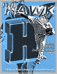 THE HAWK 2