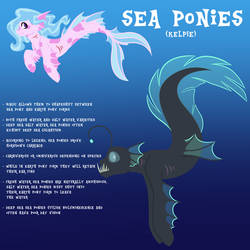 Sea ponies