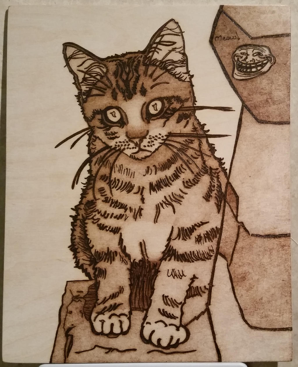 What is a Wood Burning Cat: Everything You Need to Know