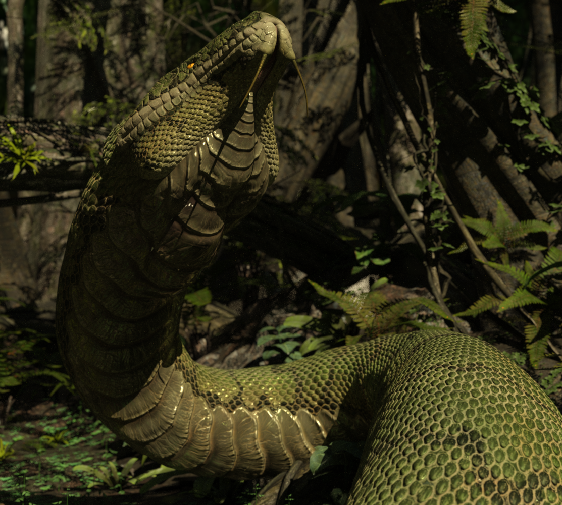 Queen Python Snake Battle Against the Python Queen 22 by UmbraDiadem on DeviantArt