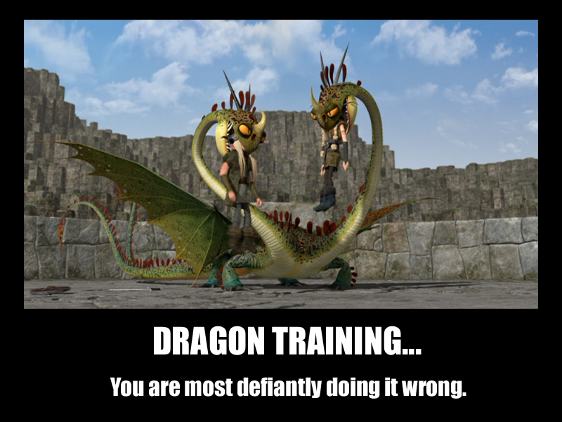 Dragon Training