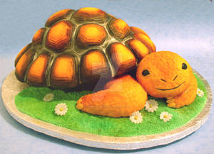 Tortoise Cake