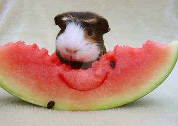 Mo's first Watermelon