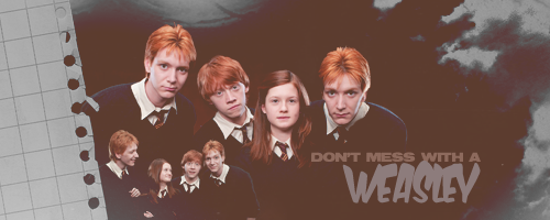 Weasley Wizards