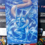 Greninja Pokemon TCG Mega Evolution Chaos Rising