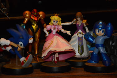 wild amiibo