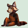 Rocket Raccoon