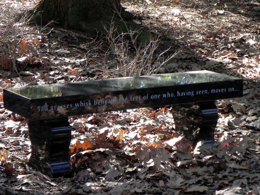 Sit Awhile by dmguthery on DeviantArt