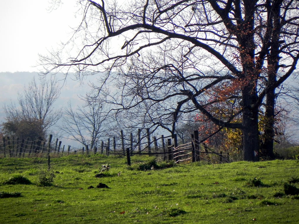 Fall Field Work Fall Field by dmguthery on DeviantArt