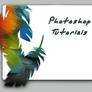 Photoshop Tutorials