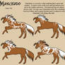 Manchado Horse Patterning