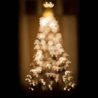 Christmas Tree of Bokeh