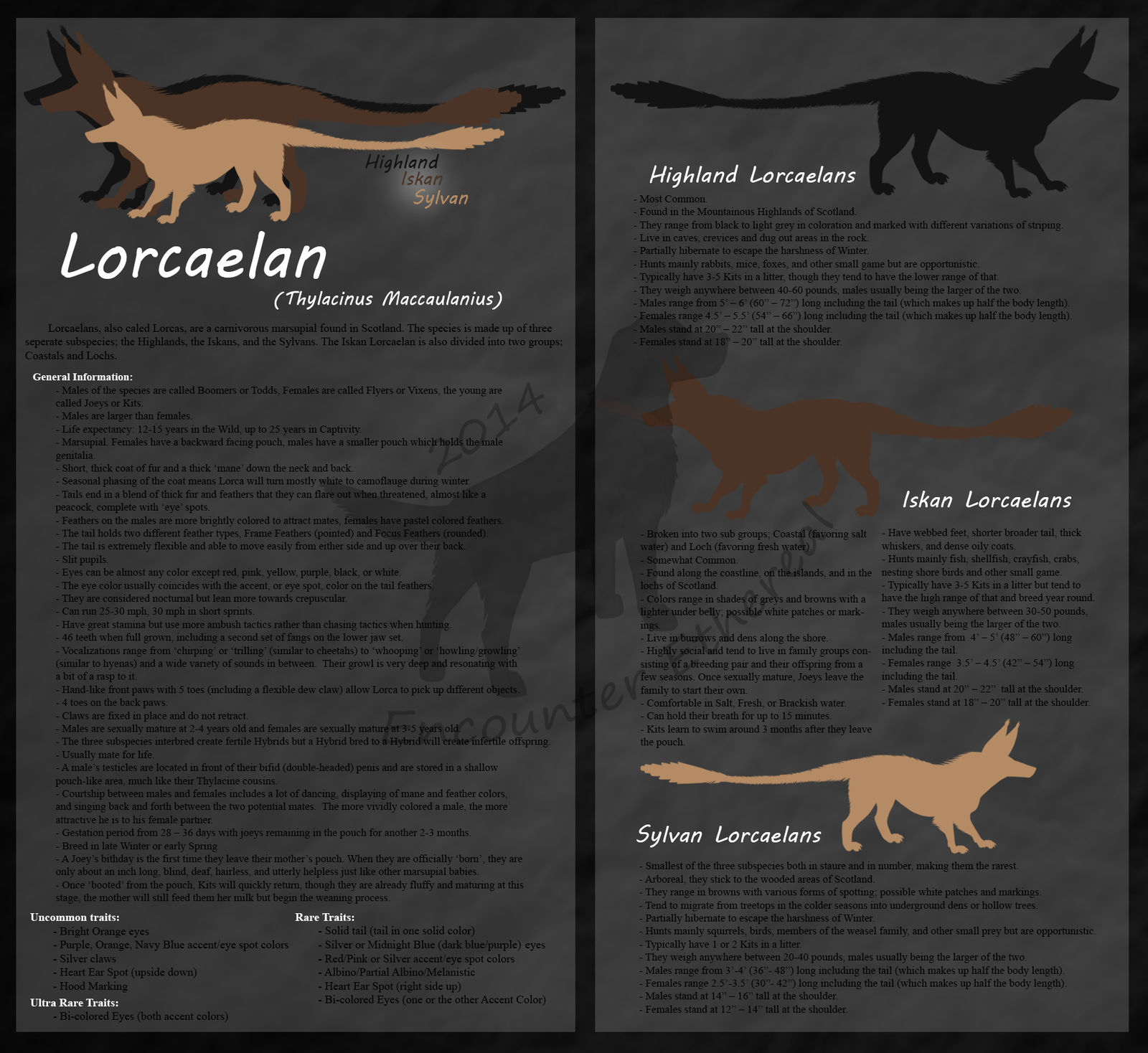 Lorcaelan Species Reference