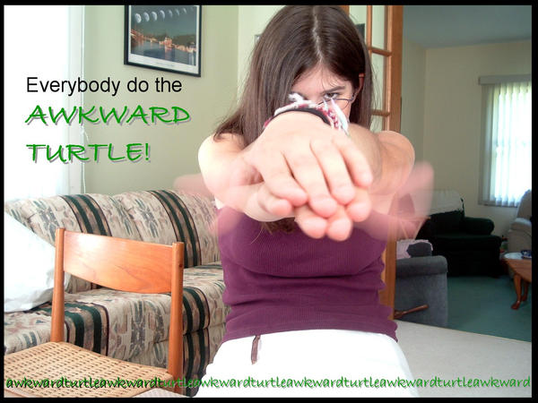 Awkward Turtle Hand Awkward Turtle by kiyora-sano on DeviantArt