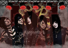 World Domination: BVB