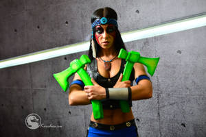 Mortal Kombat - Nightwolf