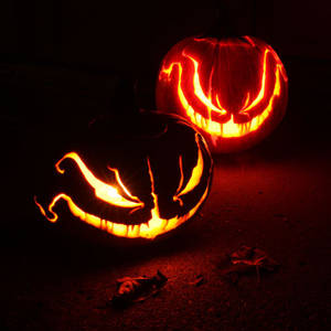 Jack O Lanterns 2013