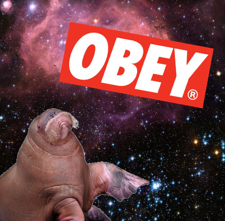 Obey the Walrus