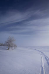 Snowmobile tracks