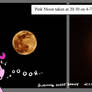 Pink Moon Ft. Pinkie Pie